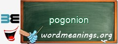 WordMeaning blackboard for pogonion